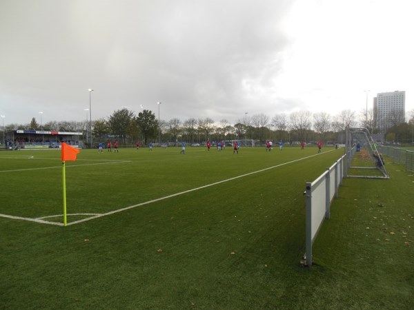 stadium photo