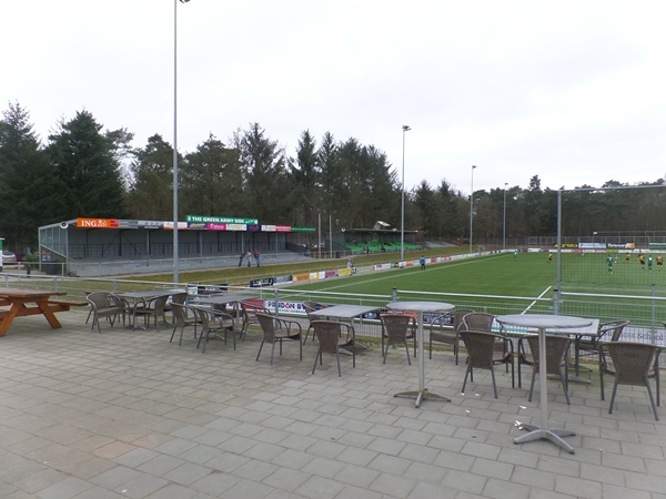 stadium photo