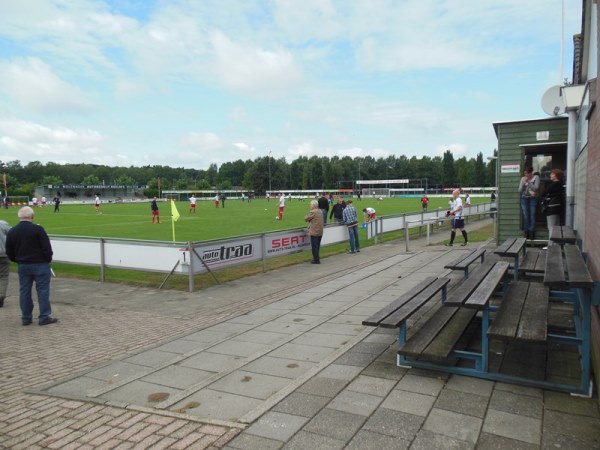stadium photo