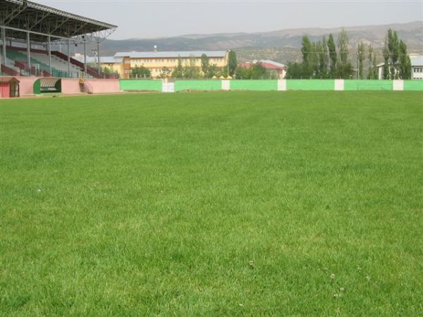 stadium photo